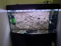 Juwel Fish Tank & Stand with Accessories